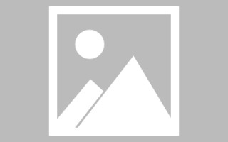 扶余诸城定制网站建设（诸城网络科技有限公司）