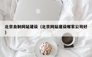 扶余北京自制网站建设（北京网站建设哪家公司好）